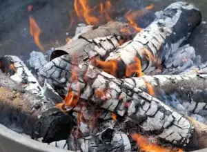 Hořící dřevěné polena s popelovými vrstvami v ohništi.