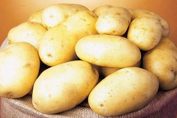 Hromada světlých brambor v košíku na plátně.