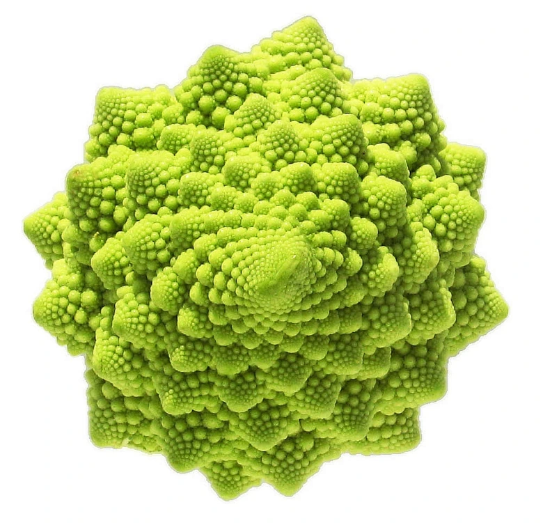 Zelenina podobná brokolici: květák romanesco s fraktálními zelenými hlavičkami.