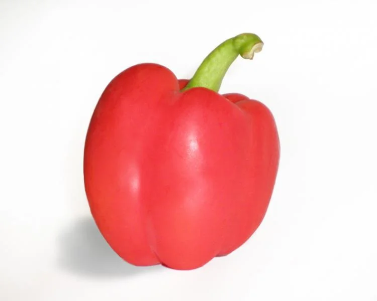 Jedna červená paprika na bílém pozadí pro článek o výživě.