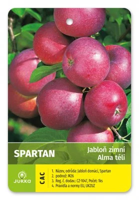 Květnové jablka odrůdy Spartan na stromě s listy.