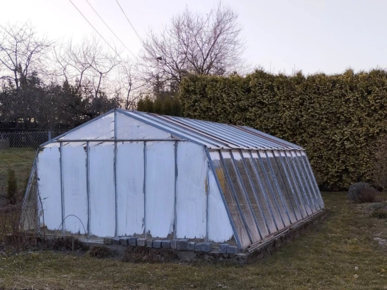 Greenhouse in garden