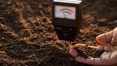 Soil ph meter in hand
