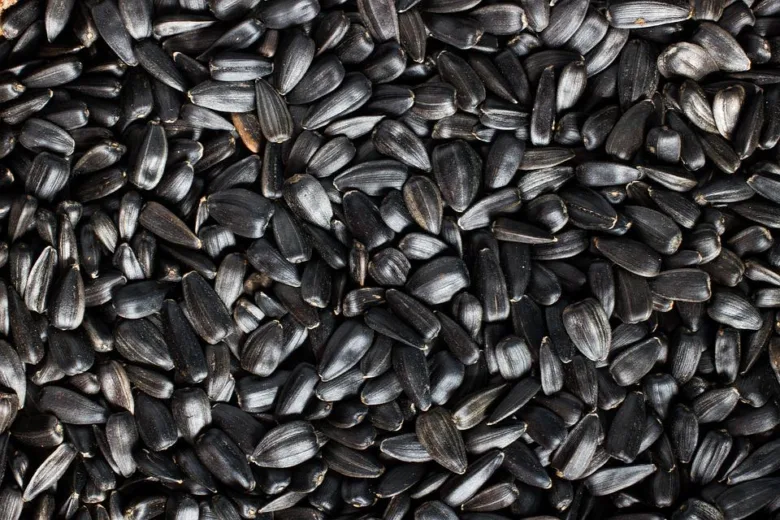 Black sunflower seeds