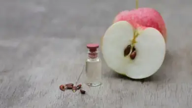 Poloviční jablko, semínka a lahvička na dřevěném povrchu.