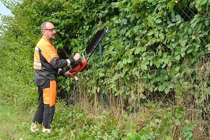 Muž stříhá živý plot elektrickým nůžkami v zahradě.