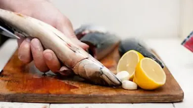 Hand cleaning fish on board
