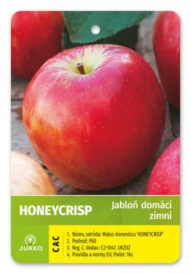 Fotografie červeného jablka odrůdy Honeycrisp s listem v pozadí.
