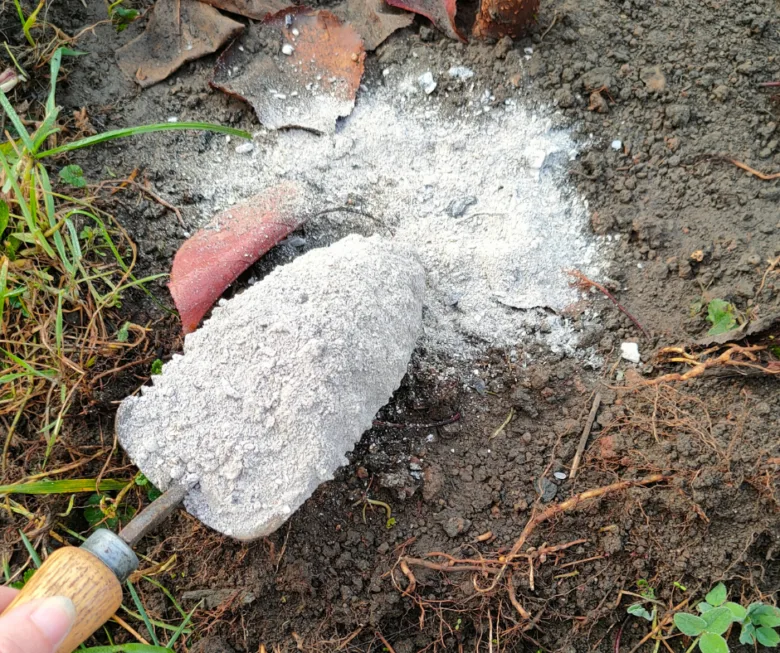 Dřevěný popel na zemi s kypřičem v zahradnickém kontextu.
