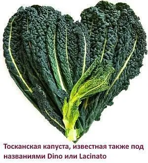 Toskánský kel v srdcovém tvaru na bílém pozadí.