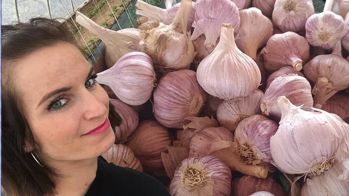 Žena stojí vedle hromady čerstvého fialového česneku.