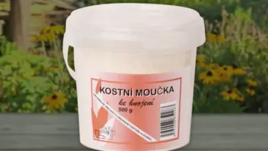 Bílá nádoba s kostní moučkou pro hnojení v zahradě