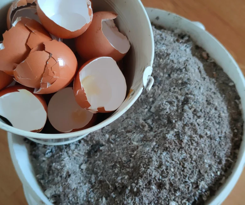 Prasklé skořápky vajec a půda v nádobě pro okurky.