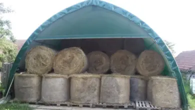 Skládané balíky slamy pod zelenou střechou pro dlouhodobé uskladnění.