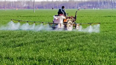 Traktor rozstřikuje hnojivo na zelené plodiny v poli.
