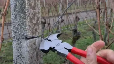 Ruční nůžky na drát pro instalaci podpory hroznu u kamenného sloupu.