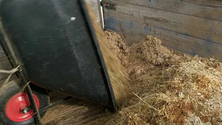 Nalévání granulovaného hnoje z koňského hnoje na půdu.