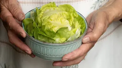 Ruce drží misku s čerstvým ledovým salátem.