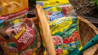 Dva sáčky organického hnojiva včetně koního hnůj v košíku.