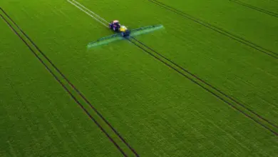 Tractor spraying field