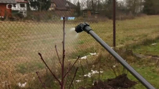 Postřik rostliny postříkáno zástavou v zahradě.
