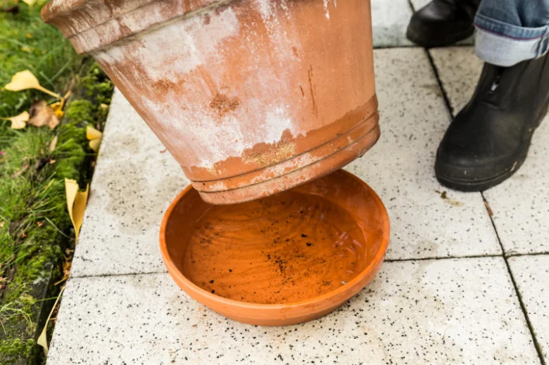 Terracotta pot and saucer