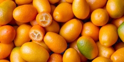 Hromada malých oranžových plodů připomínajících citrony s jedním rozkrojeným.
