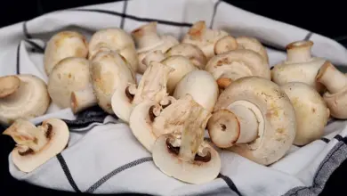 Čerstvé žampiony na bílém utěrce s černými proužky.
