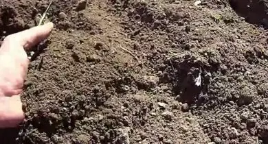 Ruka drží kyslou zahradní půdu pro domácí přípravu.
