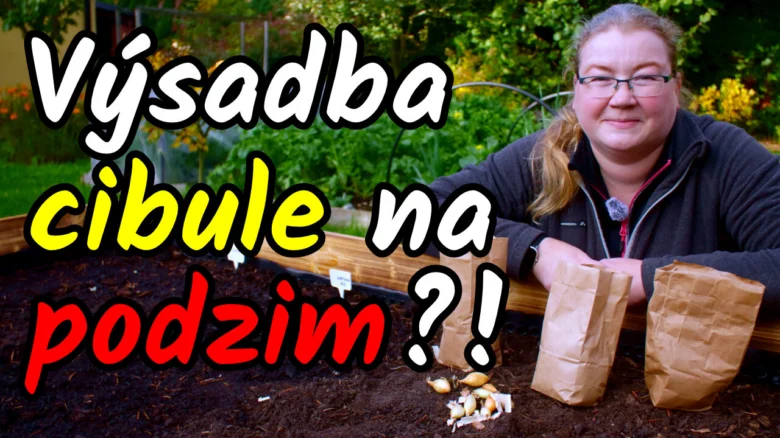 Žena sázející cibuli na podzim v zahradě s pytli semen