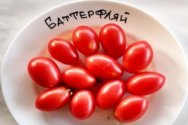 Červená rajčata odrůdy Butterfly na bílém talíři s nápisem.