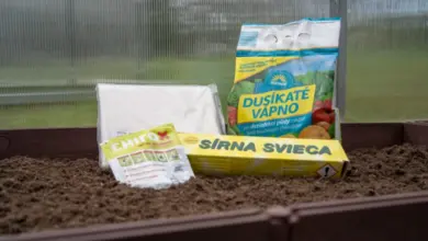 Produkty na úpravu půdy v skleníku pro prevenci mechů.