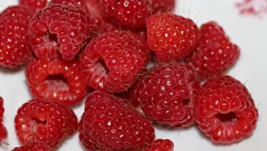 Čerstvé červené maliny na bílém pozadí.