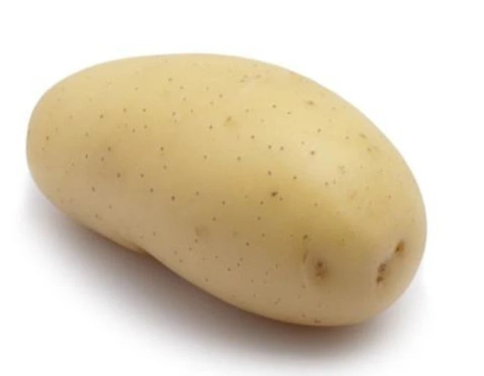 Brambor odrůdy Agria na bílém pozadí.