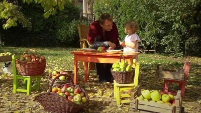 Ženy a dítě seřazují čerstvá jablka venku v přírodě.