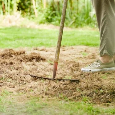 Osoba připravuje půdu pro výsev travního semene zahradním nástrojem.