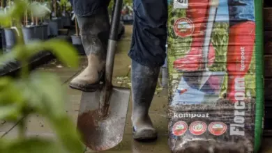 Zahrádkář s lopatou u balíčku kompostu mezi rostlinami.