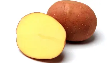 Celá červená brambora vedle poloviční s žlutou dužinou.