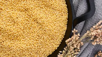 Millet grains in pan