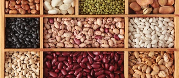 Různé druhy fazolí a luštěnin bohaté na antioxidanty v dřevěném podnose.