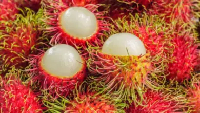 Červené rambutan s bílým dužinou na Bali.