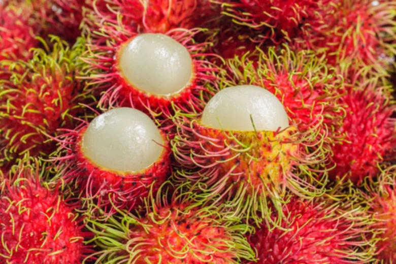 Červené rambutan s bílým dužinou na Bali.