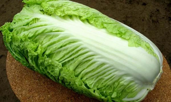 Čerstvé celé hlavičky pekingského zelí na dřevěném povrchu.