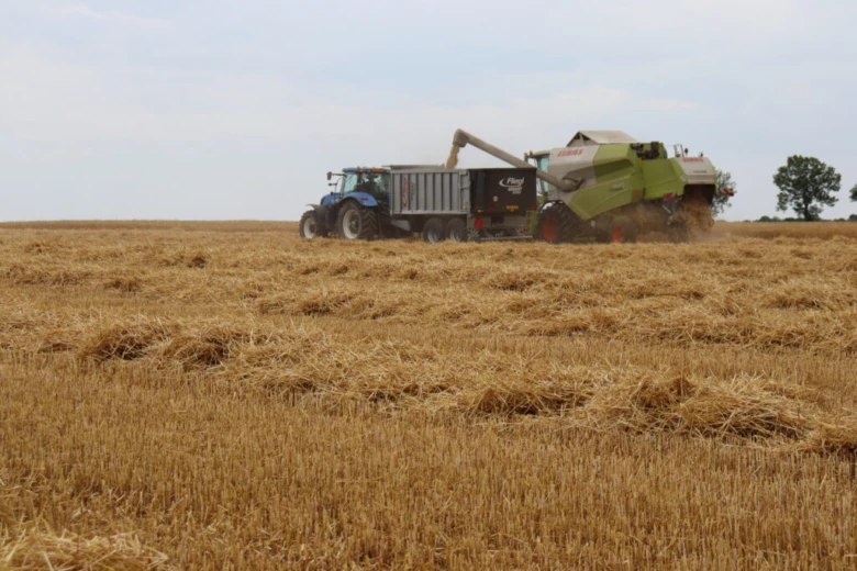 Traktor s přívěsem a kombajn sklízí obilí na poli.