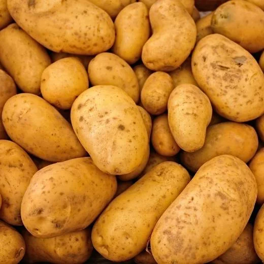 Potatoes pile