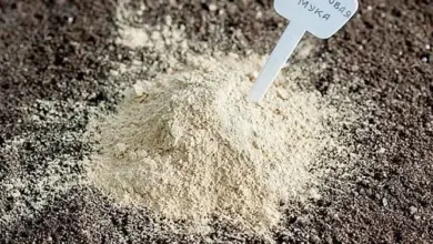 Dolomitic flour in soil