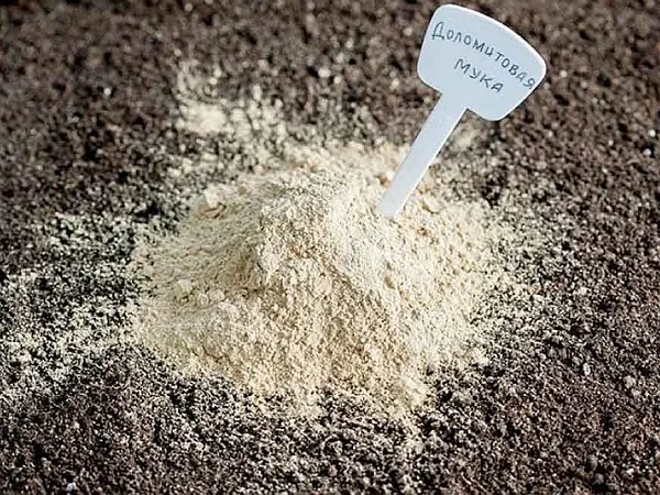 Dolomitic flour in soil