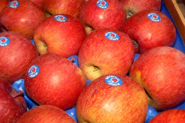 Red fuji apples in tray