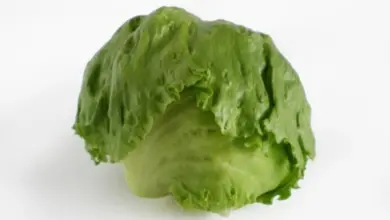 Čerstvá hlava ledového salátu na bílém pozadí.