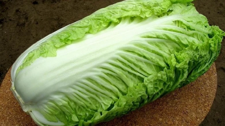 Čerstvé pekingské zelí rozpolcené na dřevěném talíři.